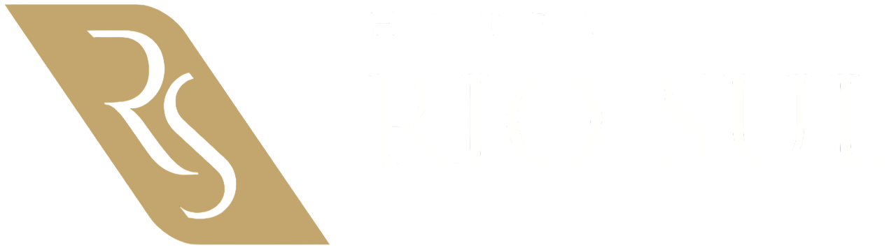 Hotel Rio Sul - Logo